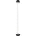 Buy Floor Lamps Australia BRIANA Floor Lamp Black 3CCT - BRIANA FL-BK