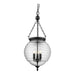 Buy Ceiling Lanterns Australia Erin Ceiling Lantern 3 Lights Clear Glass - 31321