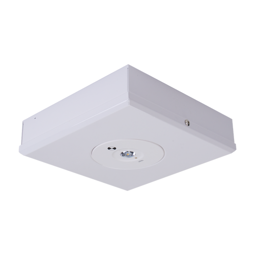Buy Emergency LED Spitfire Australia Evac Square Emergency LED Spitfire 3.5W White 4500K - 66044