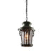 Buy Ceiling Lanterns Australia Vaucluse Lantern 1 Light Pendant - ELANK60200