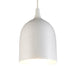 Buy Pendant Lights Australia Lumi-R 1 Light Pendant White Label Silver - ELLUM27WHTSIL