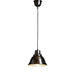 Buy Pendant Lights Australia Robertson 1 Light Pendant Silver - ELPIM51379AS