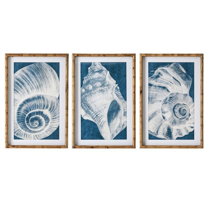 Elouera Vintage Shells Set of 3 Wall Art Grey - OWHM2041
