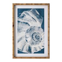Elouera Vintage Shells Set of 3 Wall Art Grey - OWHM2041