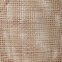 Charlotte Dining Chair Natural - OWPAN01