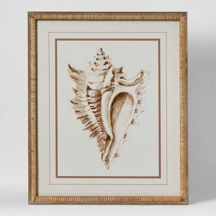 Conch Shell Wall Art Multi Colour - WALL055
