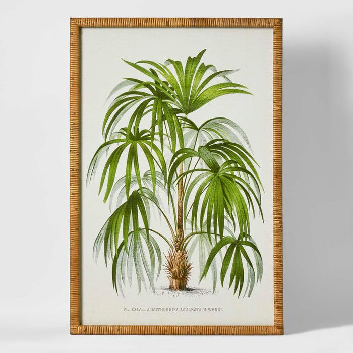 Palm Botanical Wall Art Multi Colour - WALL067