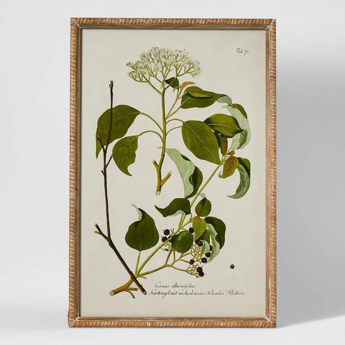 Greenhouse Botanical Wall Art Multi Colour - WALL064