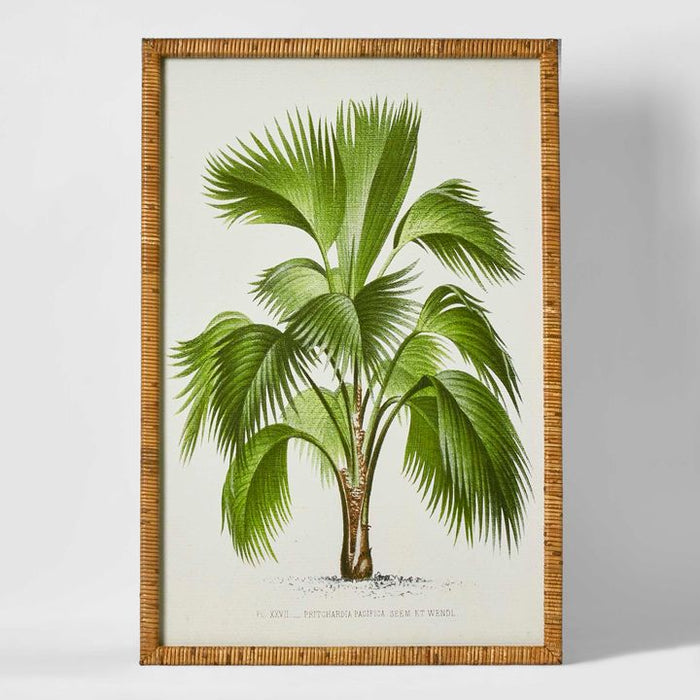 Palm Botanical Wall Art Multi Colour - WALL066