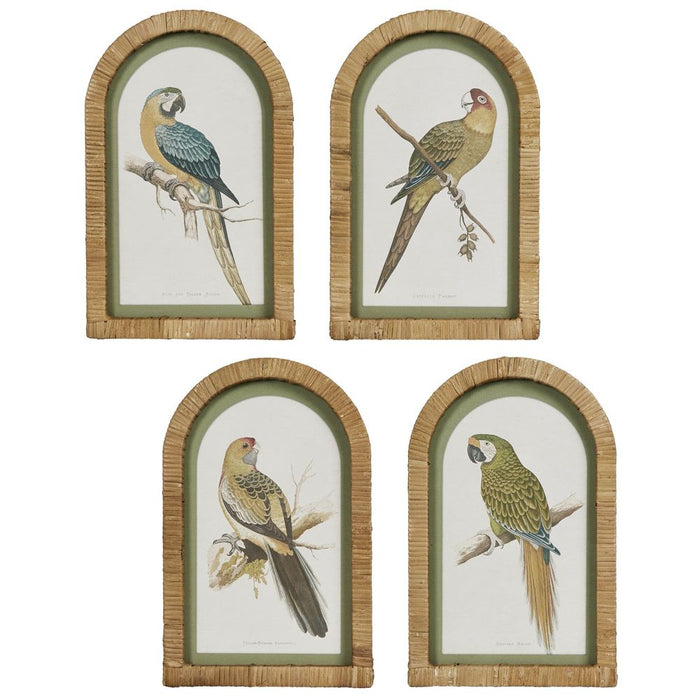 Parrots Wall Art in Arches Set of 4 Multi Colour - DA0875