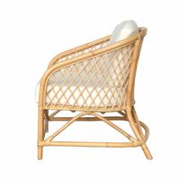 Montego Lounge Chair With Cushions Natural - OWTC0002