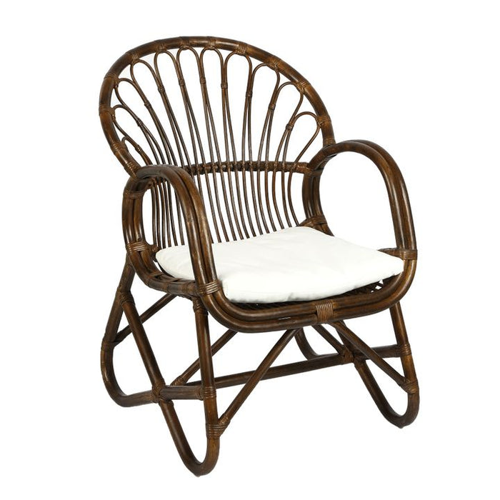 Alabama Rattan Outdoor Under Cover Dark Antique Chair Dark Timber - FUR1451