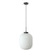 Buy Pendant Lights Australia Flaunt Pendant Light Black Metal Opal Glass - 22739