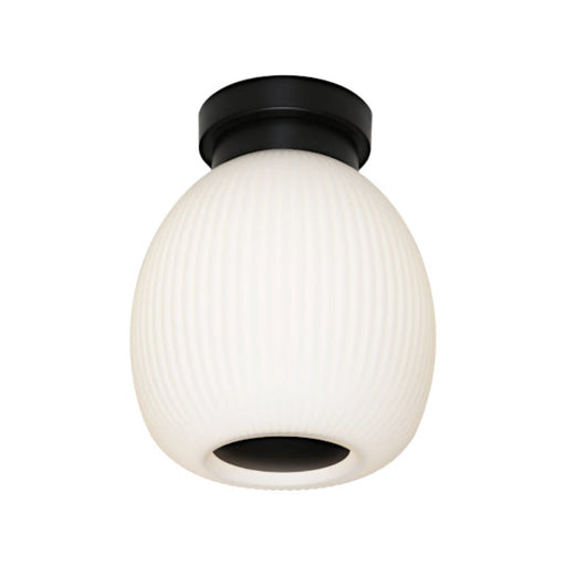 Buy Flush Mount Lights Australia Garman Flush Mount Light Black - GARM1BFBLK