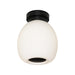 Buy Flush Mount Lights Australia Garman Flush Mount Light Black - GARM1BFBLK