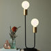 Buy Table Lamps Australia Josefine 2 Light Table Lamp Matt Black & Brass - 48955003