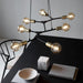 Buy Island Pendant Lights Australia Josefine 7 Light Island Pendant Matt Black  & Brass - 2010303003