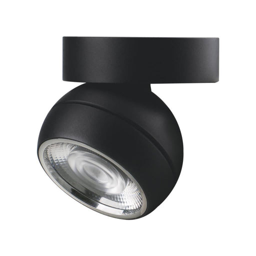 Buy Flush Mount Lights Australia Moon Flush Mount Light Flood Black 3CCT - 22812