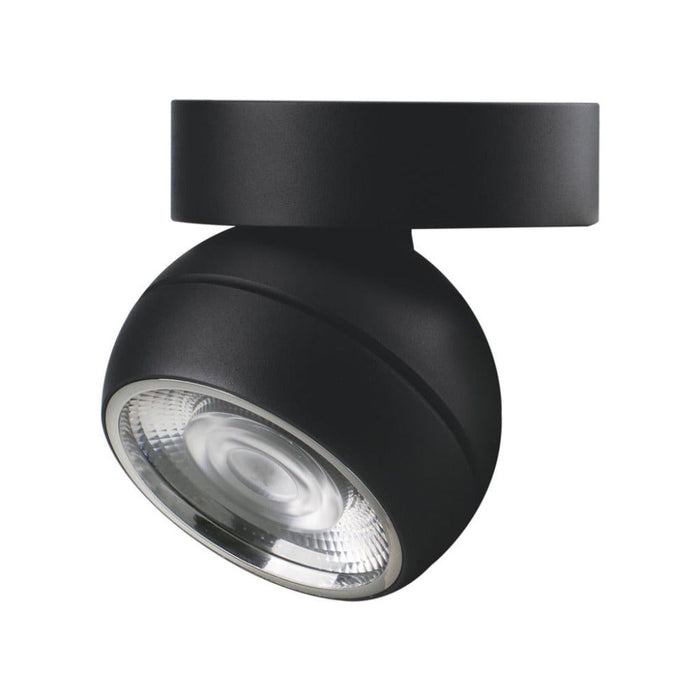 Buy Flush Mount Lights Australia Moon Flush Mount Light Flood Black 3CCT - 22812