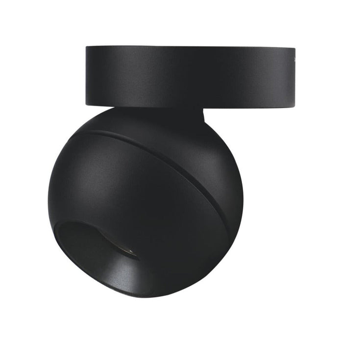 Buy Flush Mount Lights Australia Moon Flush Mount Light Spot Black 3CCT - 22816