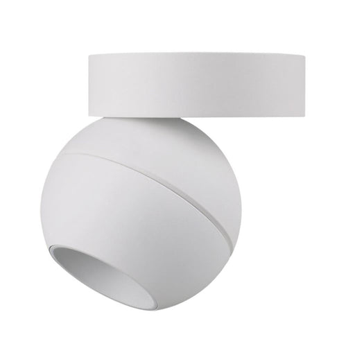 Buy Flush Mount Lights Australia Moon Flush Mount Light Spot White 3CCT - 22817