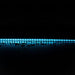 Buy LED Strip Lights Australia Plex Outdoor LED Strip Light 24V 19.2W RGBWW - 20344