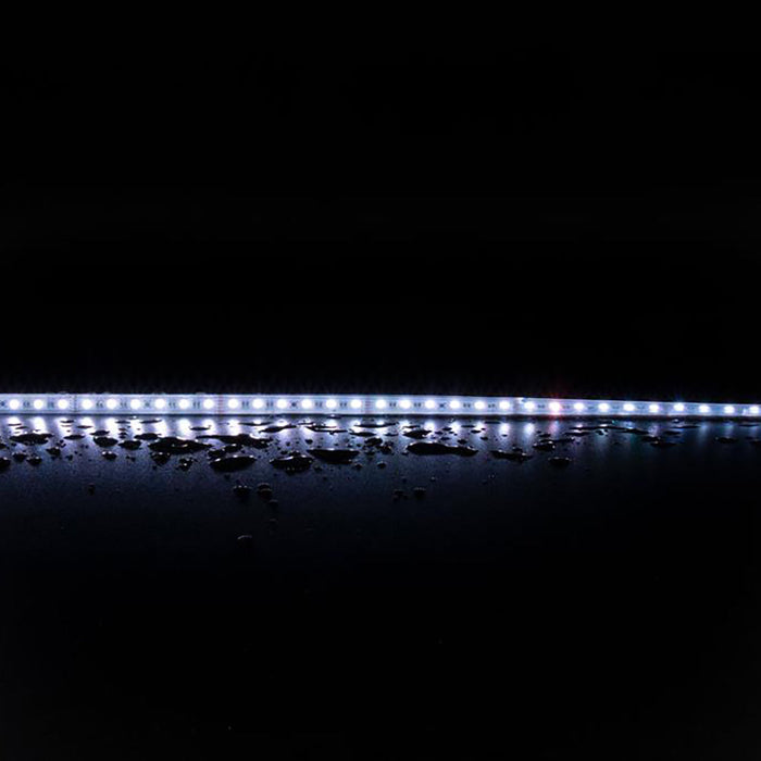 Buy LED Strip Lights Australia Plex Outdoor LED Strip Light 24V 19.2W RGBWW - 20344