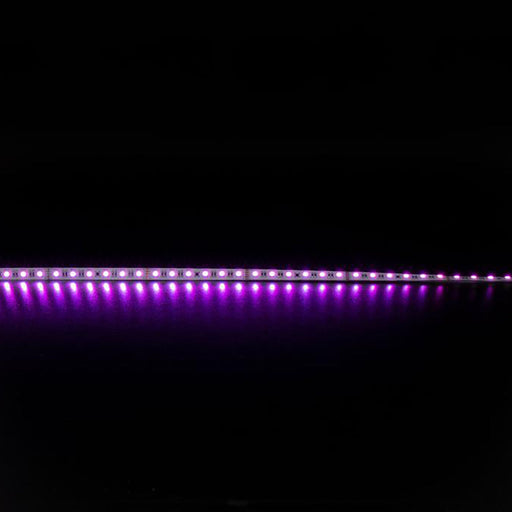 Buy LED Strip Lights Australia Plex LED Strip Light 24V 19.2W RGBWW - 20327