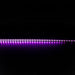 Buy LED Strip Lights Australia Plex LED Strip Light 24V 19.2W RGBWW - 20327