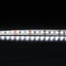 Buy LED Strip Lights Australia STRIP-120 Flexible 120 LED Strip - 19.2W 12V - 20019